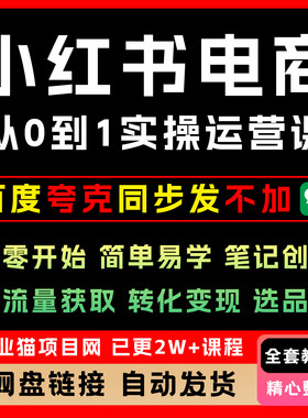 2025年小xhs红书电商从0到1实操运营课从零开始简单易学