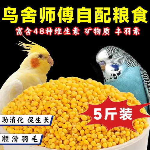 鸟粮纯黄谷子黄小米带壳幼鸟鹦鹉