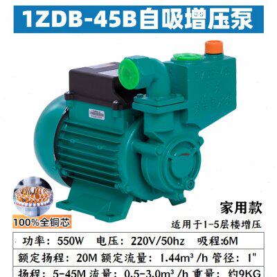 爆广东水泵自吸泵扬程自来水管道自动增压泵抽水泵品