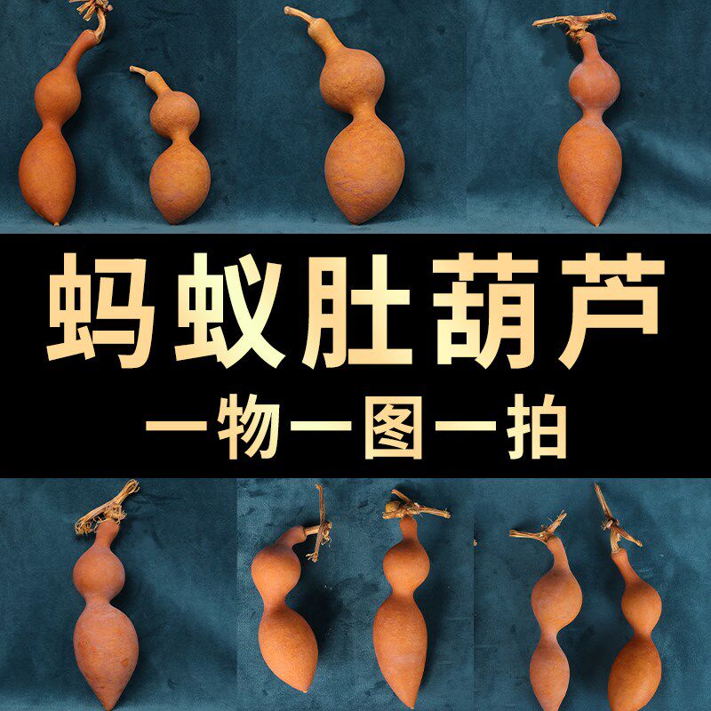 天然葫芦文玩葫芦异形大蚂蚁肚葫芦天然皮异形做旧