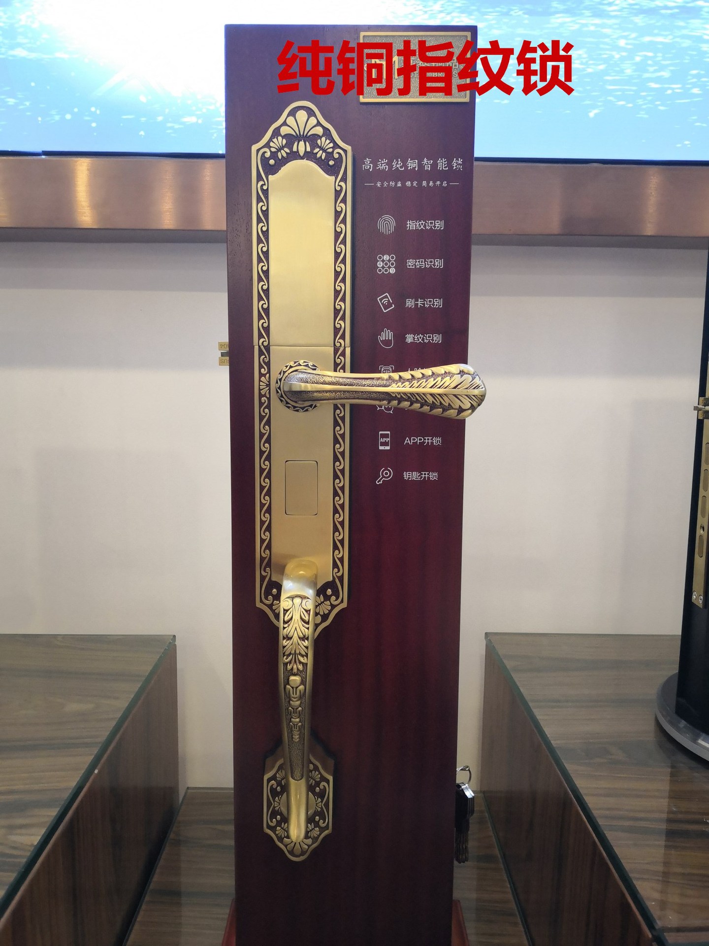 纯铜智能指纹锁电子锁体锁芯