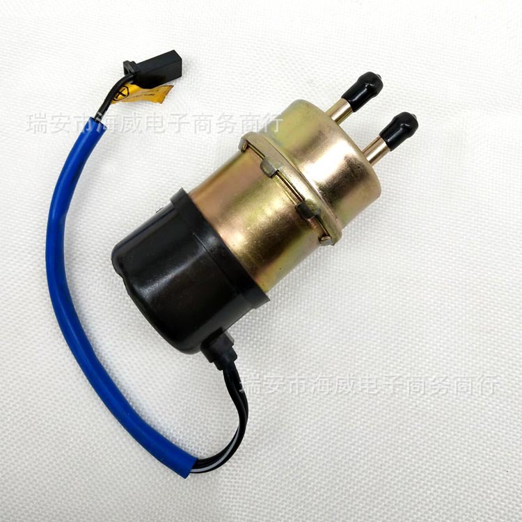 摩托车发动机抽油泵 12V汽车电子燃油泵 电喷外置泵 输油泵总成