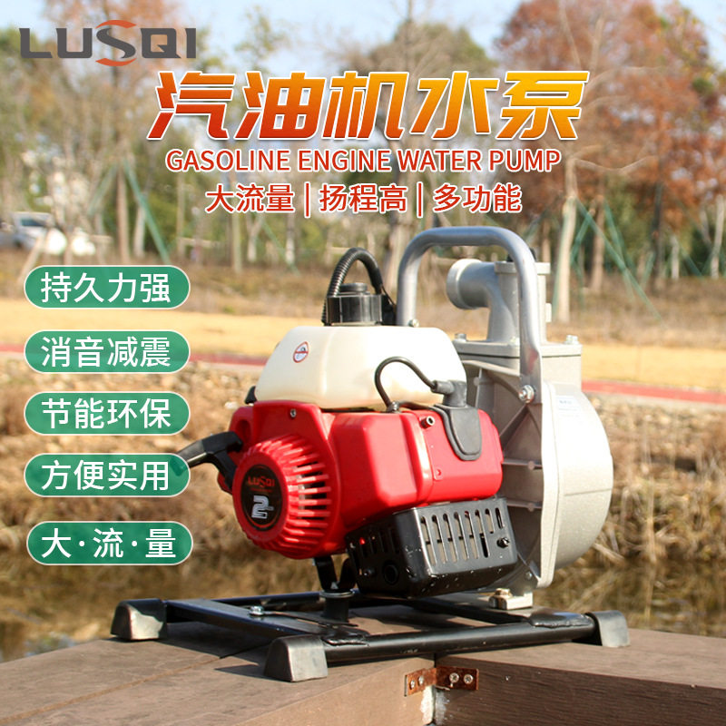 批发禄斯奇汽油机水泵1E40F-6小型二冲程单缸1.34/HP 抽水机农用