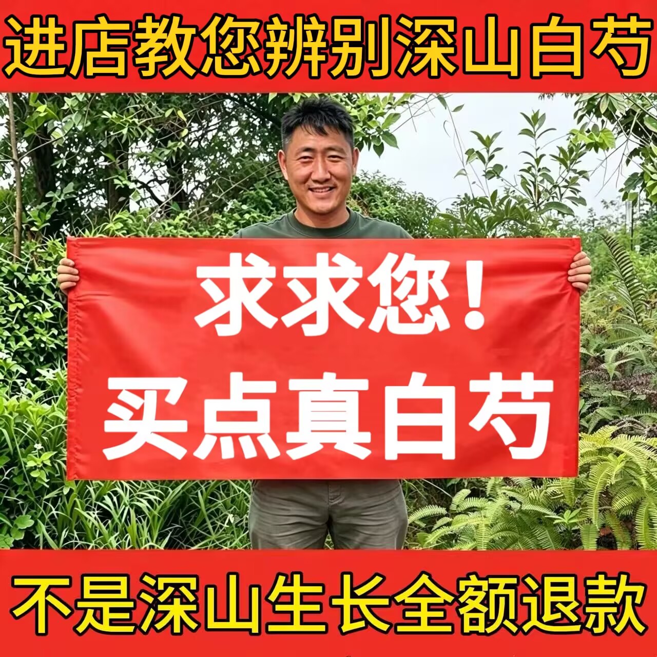 白芍中药材正品新货生芍药杭白芍大片野白术茯苓三白汤四物汤原料