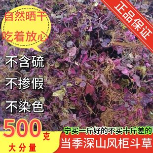 特级深山小叶风柜斗草风鼓草干品风谷草风骨草楮头红蓝叶草益肝草