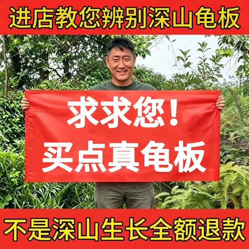 精选龟板中药材膳食煲汤搭配使用