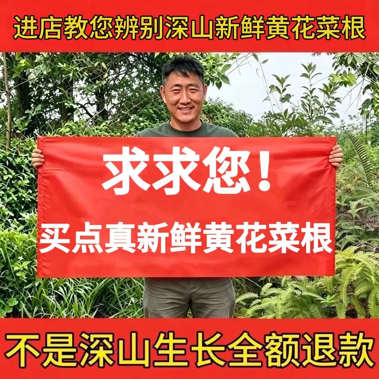 新鲜野黄花菜根中药材炖猪脚煲汤图片