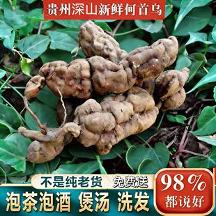 现挖现发深山新鲜老何首乌黑生赤首乌煲汤泡酒洗发护发中药材整颗