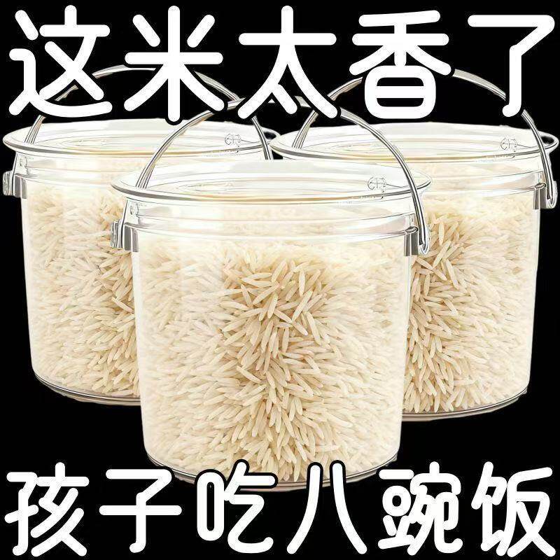 长粒香米正宗猫牙米晚稻新米5斤丝苗米煲仔蛋炒饭籼米油粘新大米