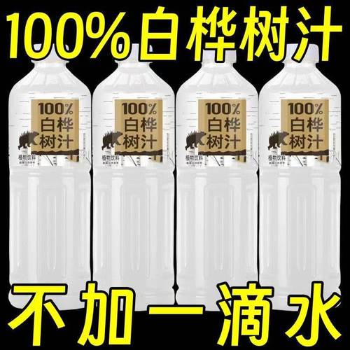 【大瓶装】白桦树汁100%原液原汁1.25L大兴安岭天然滋补养生粉