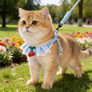 猫咪围脖胸背绳外出牵引樱桃口水巾小型犬幼猫泰迪比熊牵引胸背绳