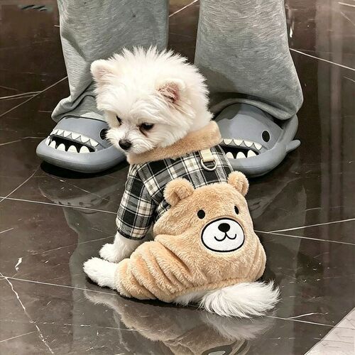 狗狗衣服秋冬款毛绒小熊泰迪比熊博美小型犬保暖宠物四脚衣可牵引
