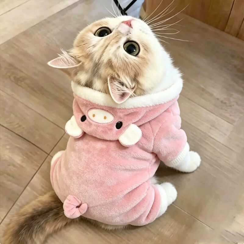 秋冬保暖可爱小猪四脚猫狗衣服