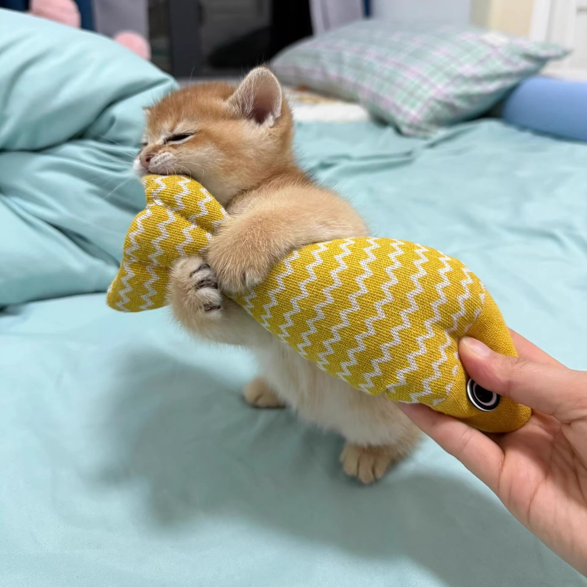 小猫自嗨玩具猫咪磨牙棒耐咬解闷