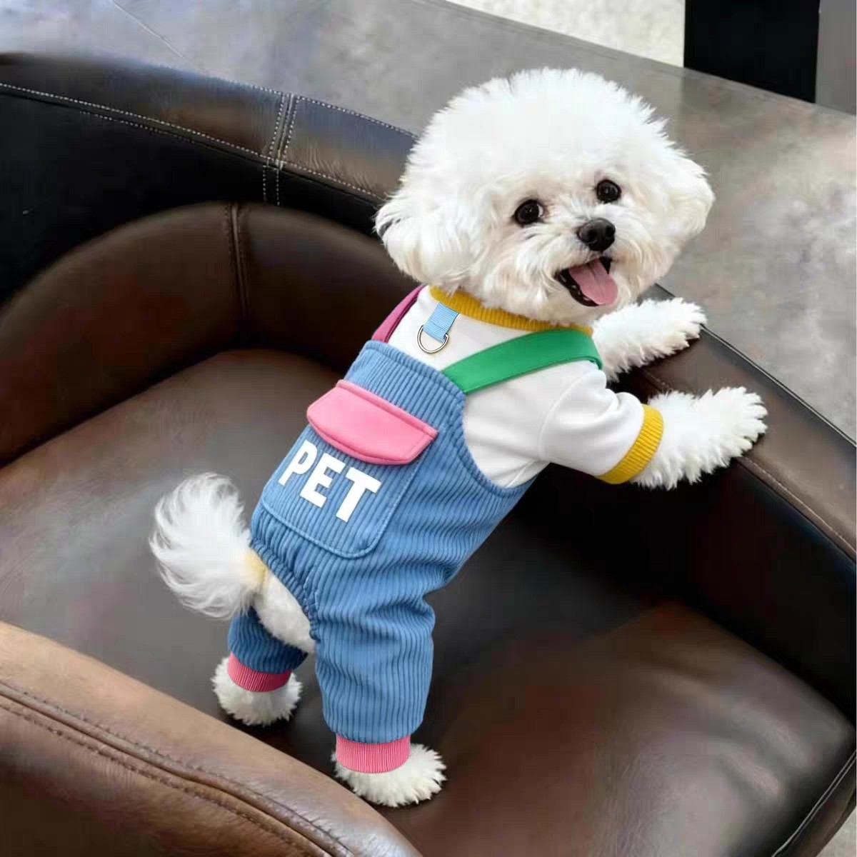 春秋薄款多巴胺小型犬四脚狗衣服