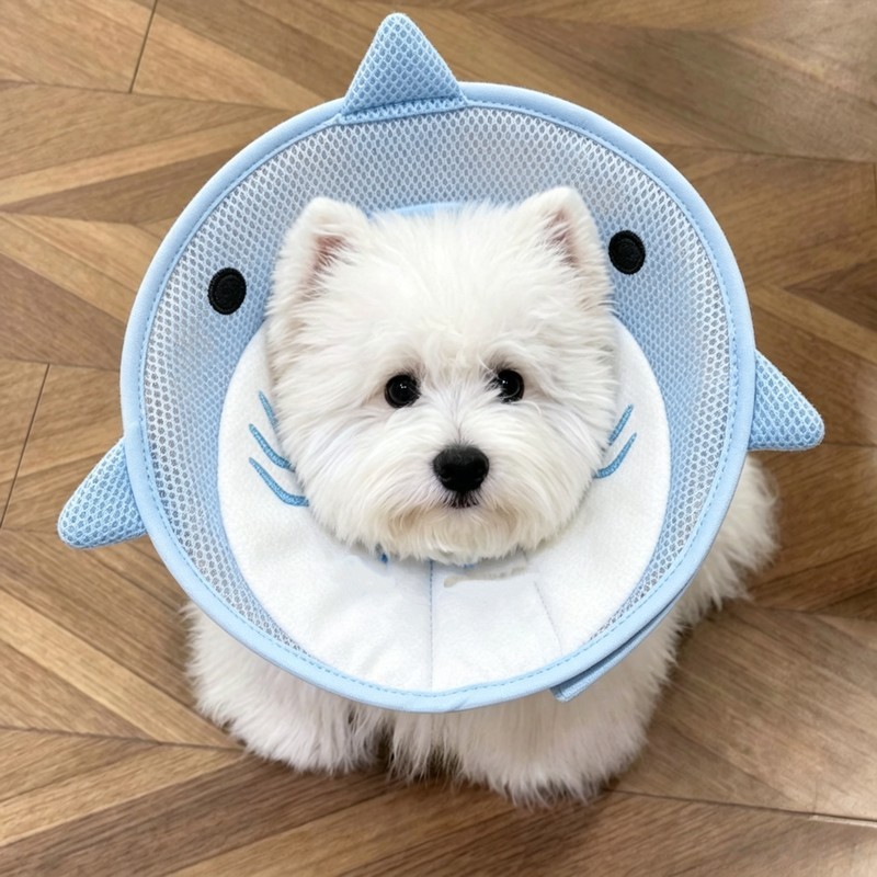 狗狗伊丽莎白圈鲨鱼卡通脖圈宠物绝育术后防舔防咬项圈狗头罩神器