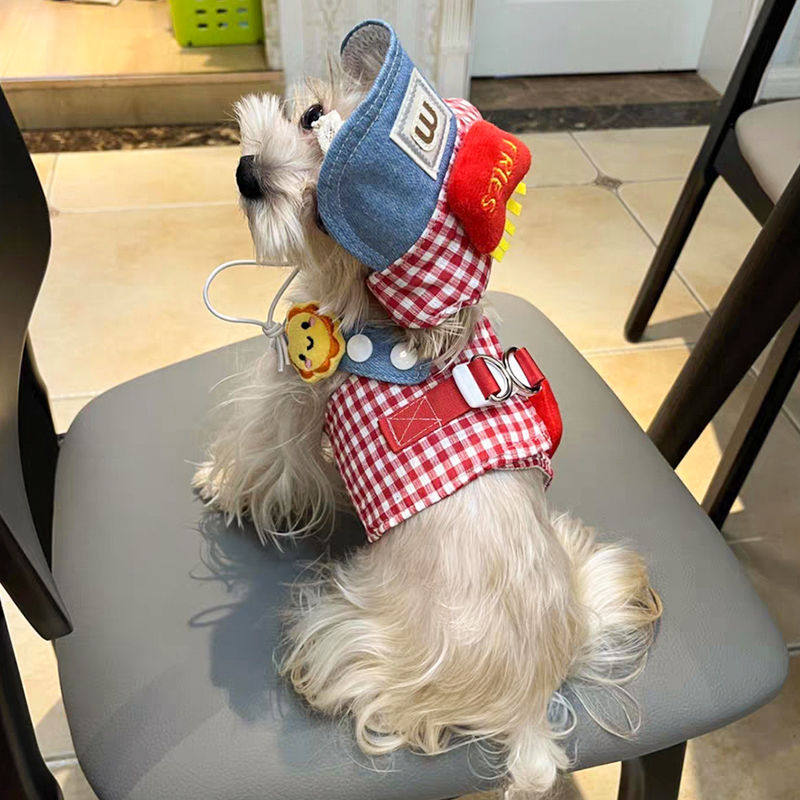 狗狗衣服春夏秋薄款格子宠物胸背带牵引绳子套装可牵引小狗狗衣服