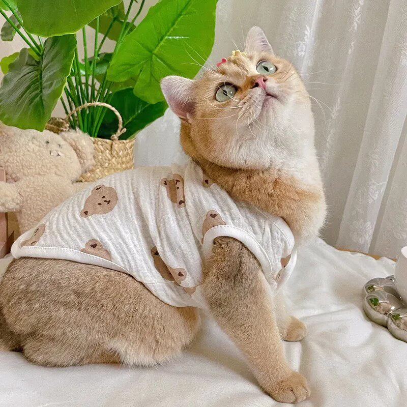 猫咪夏季透气背心薄款打底衫