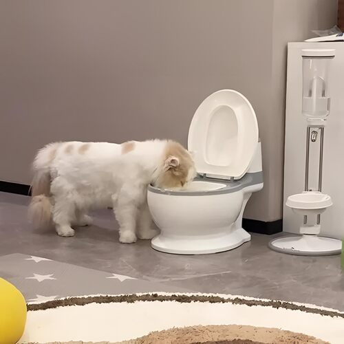 创意马桶造型猫狗饮水碗狗狗喝水