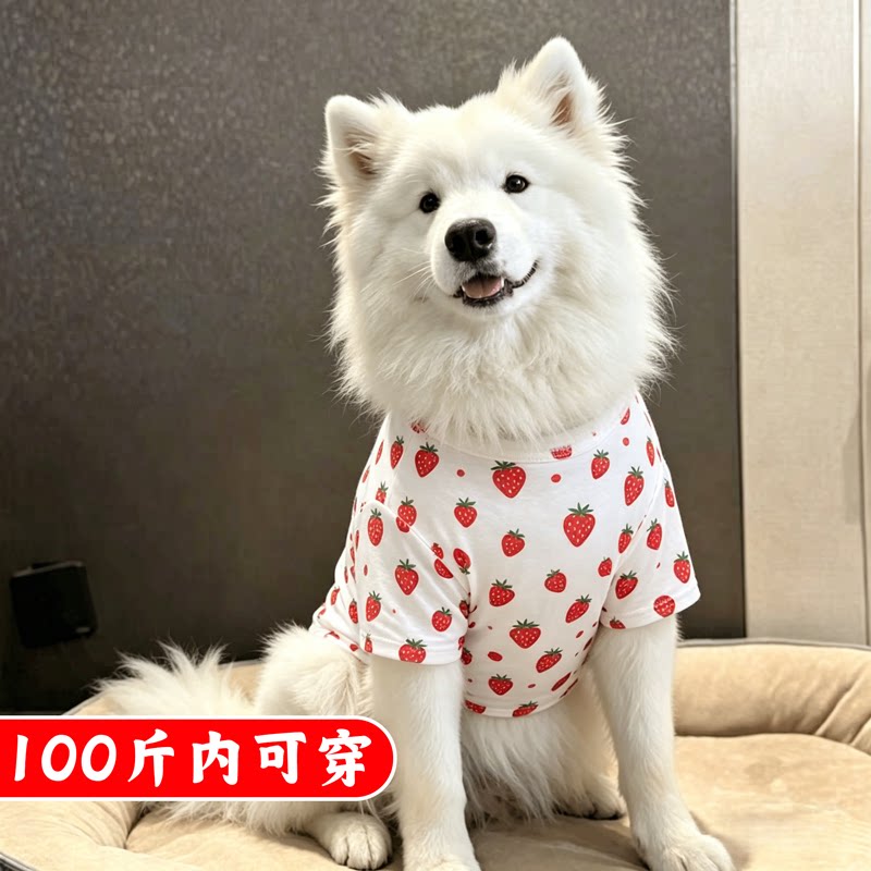 夏季狗狗草莓印花透气T恤