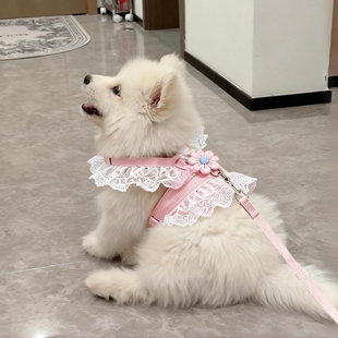 狗狗牵引绳胸背带猫咪背心式博美泰迪比熊遛狗绳小型中型犬狗链子