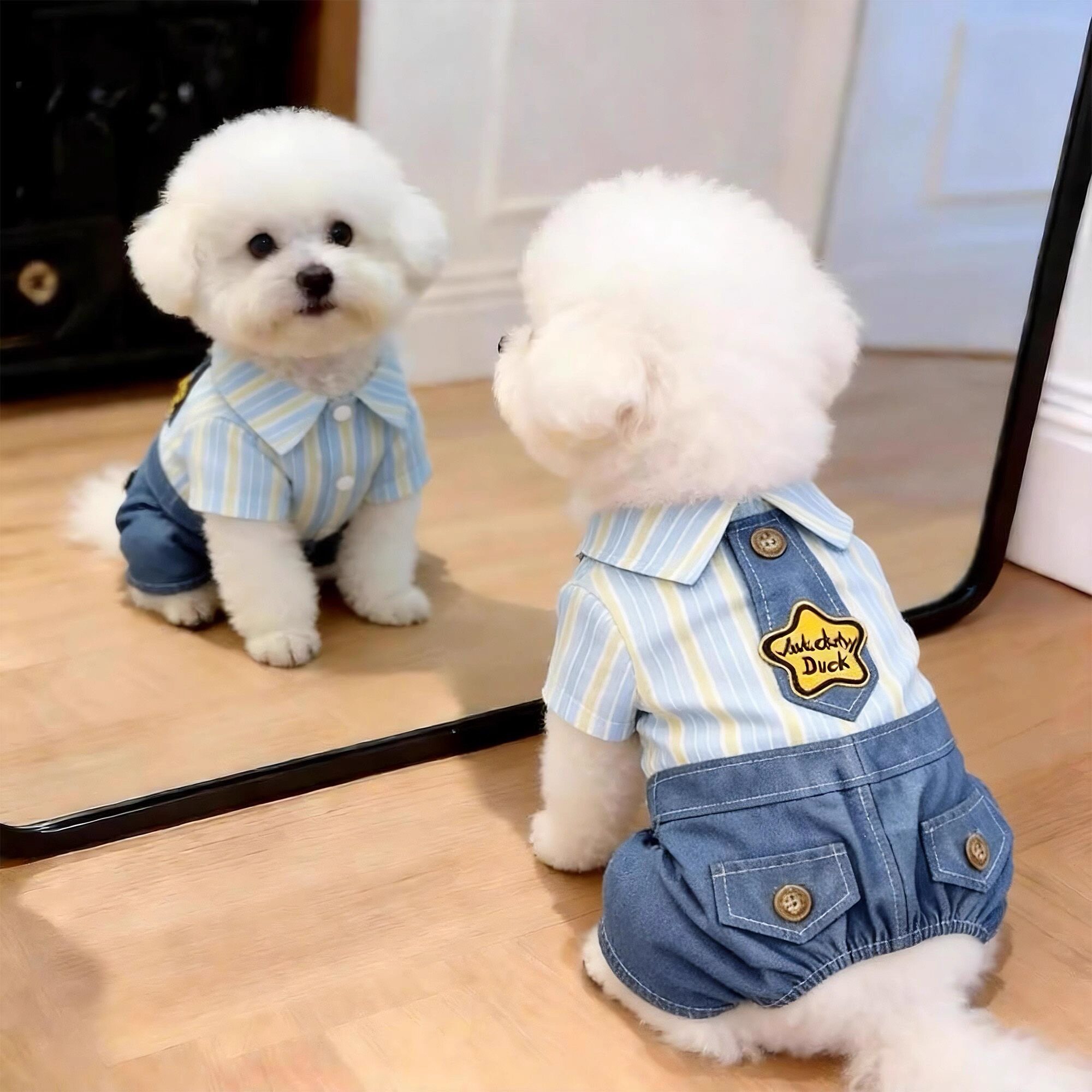 狗狗衣服春秋款四脚星星背带裤假两件泰迪比熊西高地小型犬猫衣服