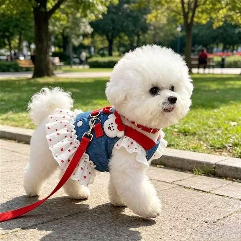 宠物猫咪狗狗衣服公主裙薄款比熊泰迪博美牵引牛仔裙小型犬春夏装