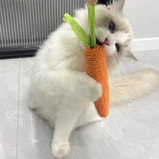 猫玩具胡萝卜内置响声咬不烂耐磨小猫磨牙棒解闷幼猫自嗨猫玩具