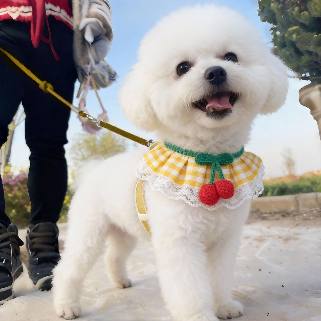 比熊狗狗牵引绳遛狗链子小型犬宠物胸背带博美泰迪小狗户外可调节