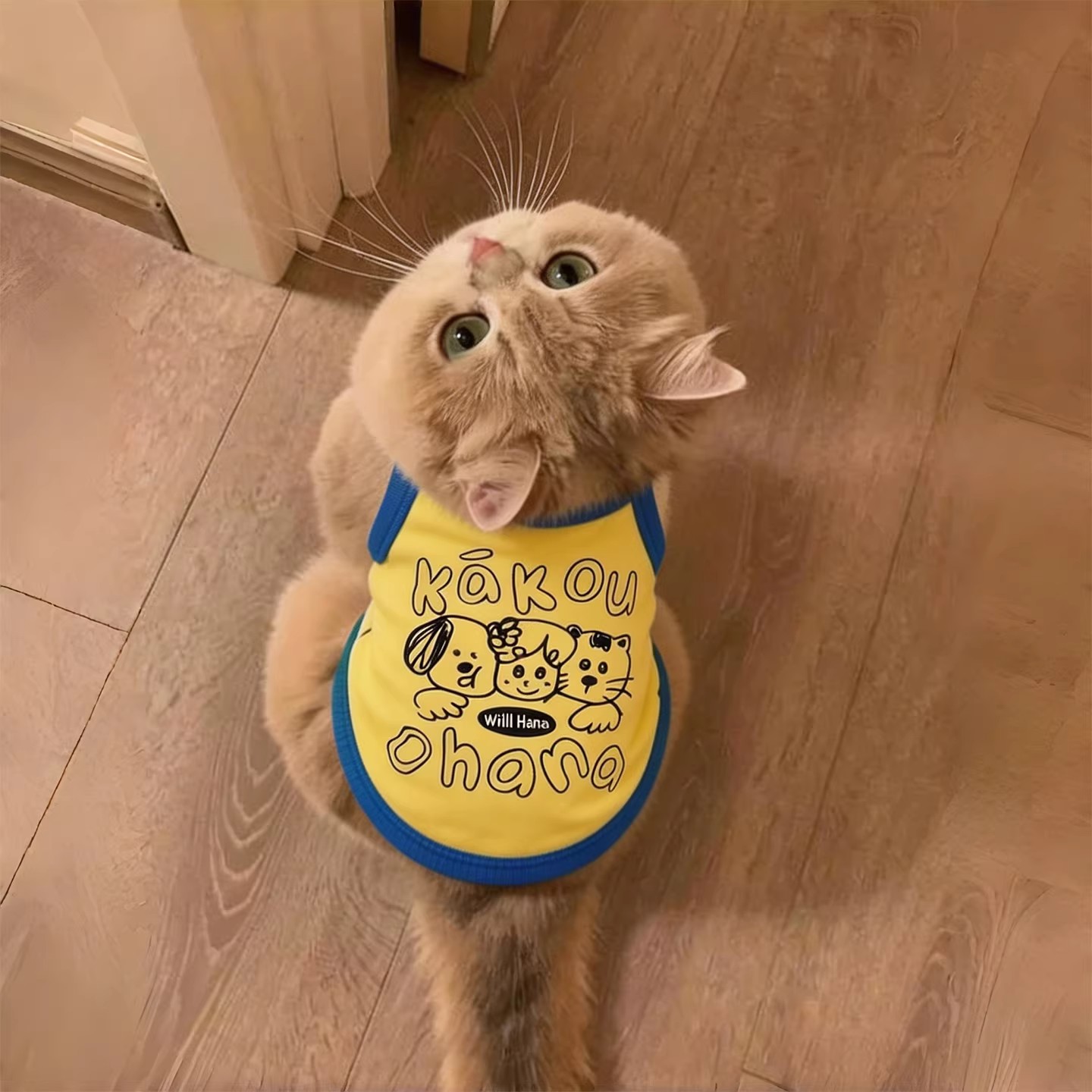 夏季薄款透气防掉毛猫狗背心裙