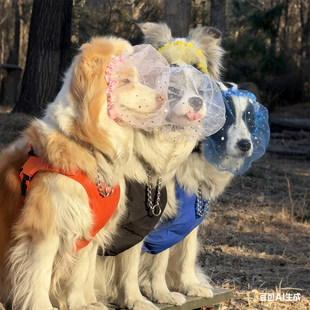 狗狗头套外出防误食防舔头纱宠物嘴套面罩中小型犬防偷吃网套面纱