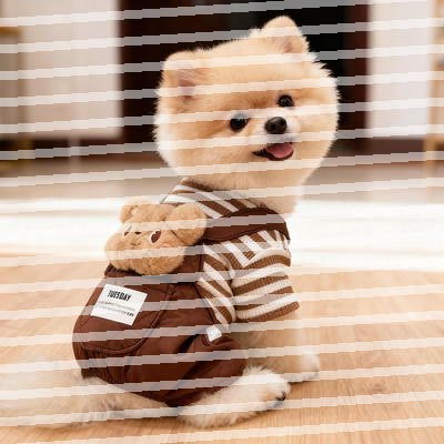 狗狗衣服秋冬装加厚款大头玩偶