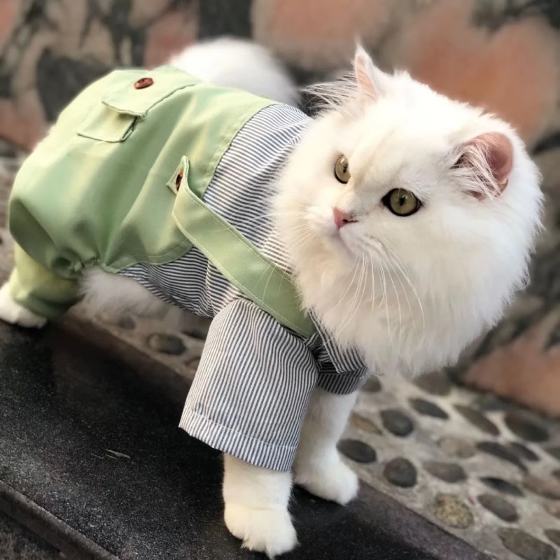猫咪连体衣四脚背带裤防脱宠物