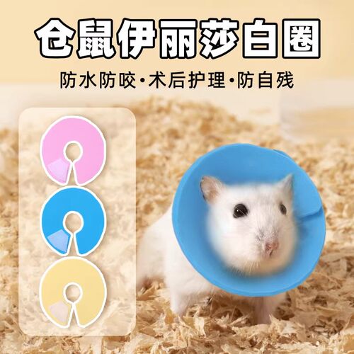 仓鼠伊丽莎白圈防舔术后护理脖圈