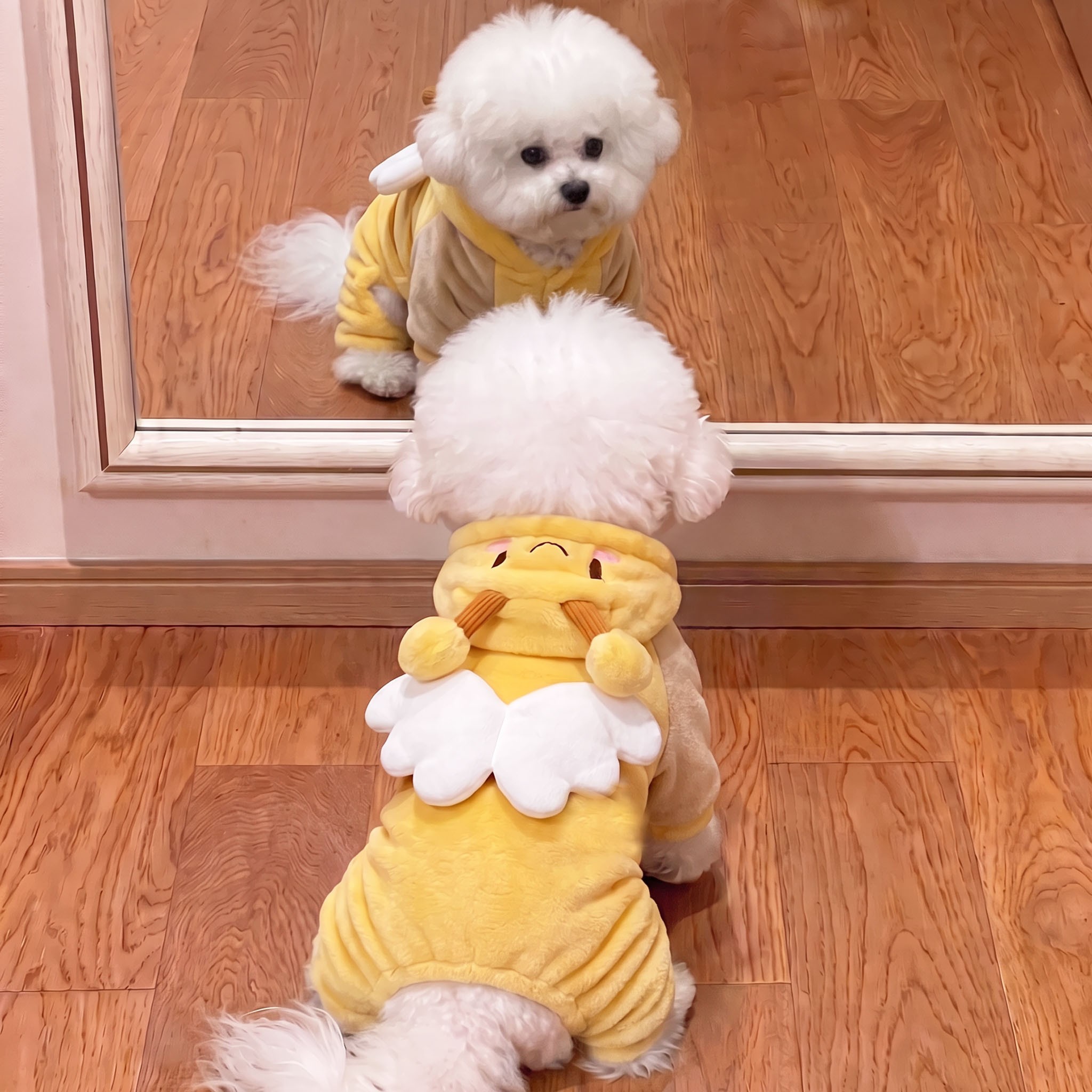 猫咪衣服秋冬加绒宠物服装2026新款狗狗四脚衣可爱小蜜蜂变身装