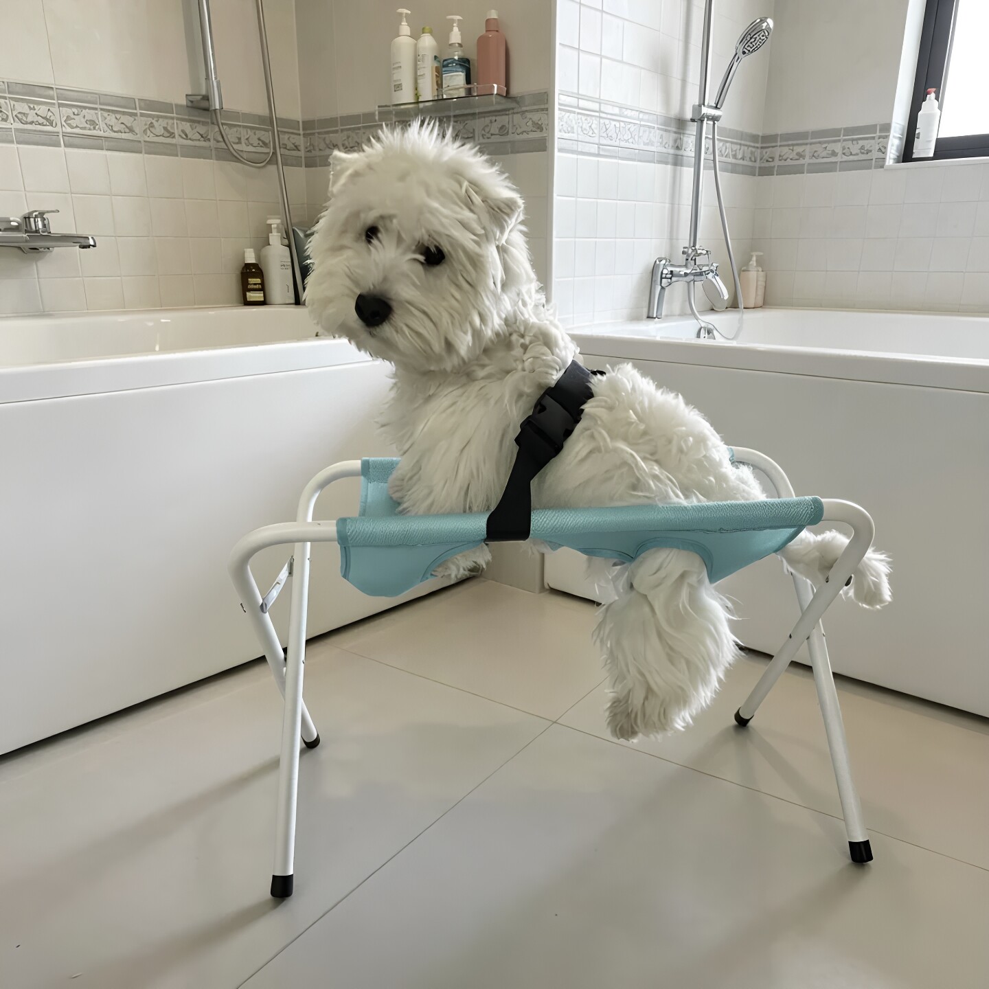 浴室狗狗洗澡固定器中小型犬猫咪剪指甲防抓咬可拆分宠物美容吊床