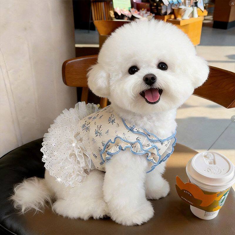 狗狗衣服夏季比熊公主裙小型犬猫咪透气碎花蓬蓬裙亲肤不掉毛衣服