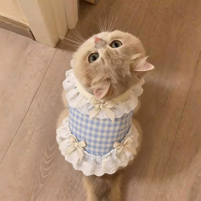 猫狗夏季蕾丝透气防掉毛背心衣服
