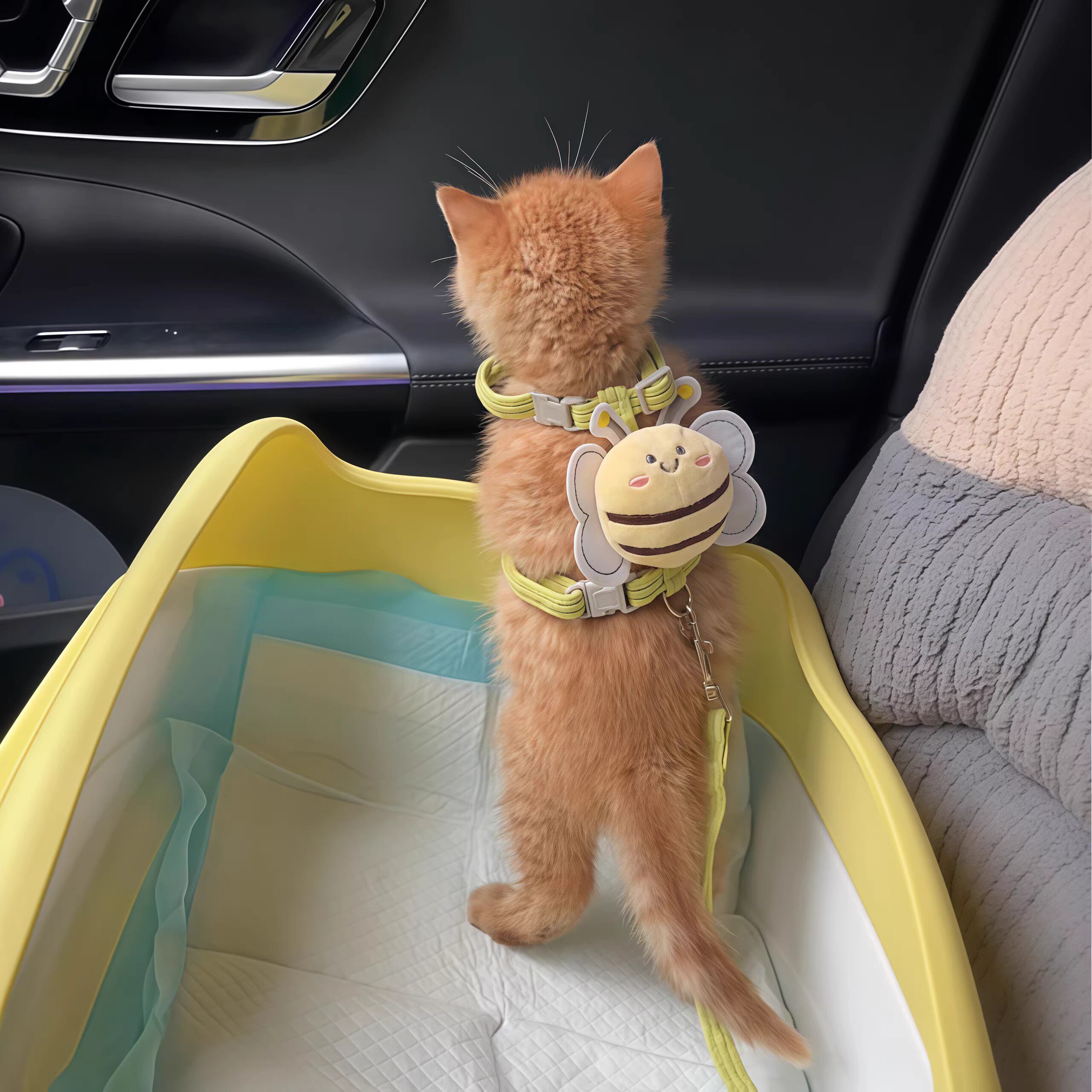 猫咪工字绳牵引绳防挣脱小蜜蜂卡通背心式加长可调节胸背狗狗牵引