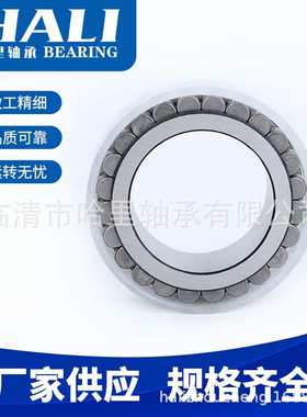 减速机轴承CPM2425无外圈满装圆柱滚子轴承高承载静音滚子轴承