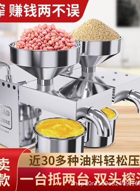 双电机全自动中小型商用家用榨油机 B02