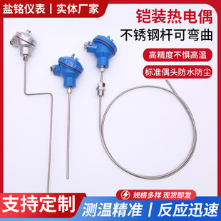 131 K型J型PT100鎧裝 熱電偶WRNK 191 可彎曲 291R熱電阻耐溫針式