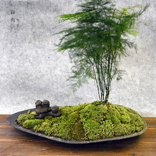 粗陶花盆盆景盆造景文q竹花盆罗汉松杜鹃花盆桌面摆件造型盆中式