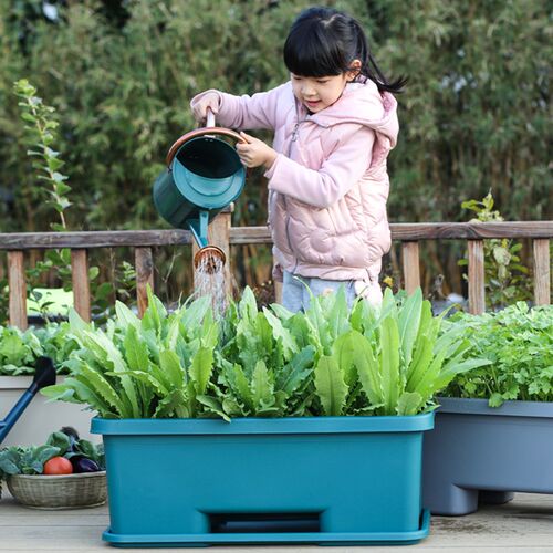 花素瑜阳台种菜盆栽专用箱长方形懒人塑料长条盆多肉室Y内花盆加