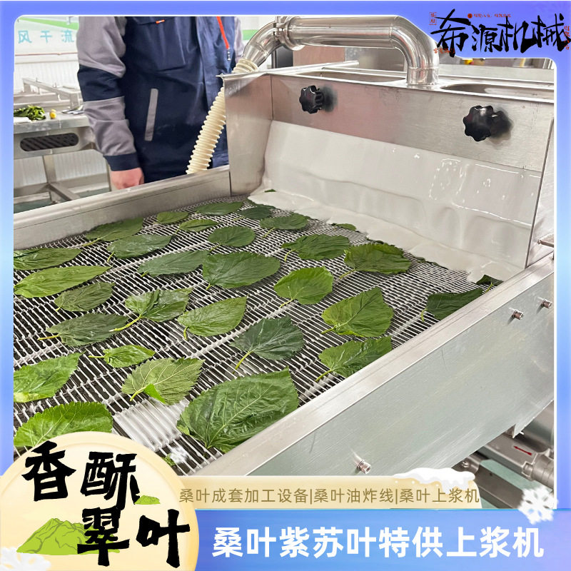桑叶上浆机 香酥脆叶油炸裹浆生产线 桑叶油炸流水线 配方指导