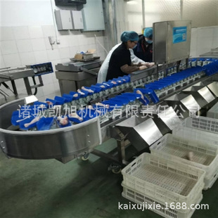 源头厂家鸡鸭流水线快速分拣秤海鲜水产品多级称重分拣机 凯旭