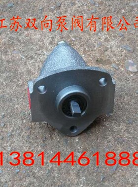 微型油泵BRB-1 BRB-2 BRB-3双向润滑泵 摆线泵 电动油泵 小齿轮泵