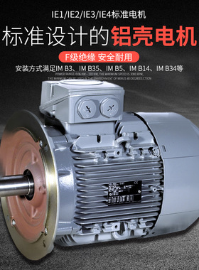 供应MEZ刹车1TZ90031AD52   100L 1.1KW  220/380V