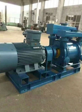 厂家供应水环式真空泵 2BEA真空泵 液环真空泵