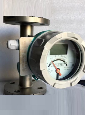 H250金 属管浮子流 量计 RHNY-H250/RR1/M40/ESK4/EX/0-50Nm3/h